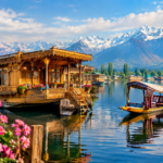 kashmir