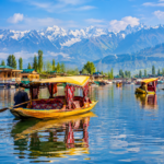 kashmir
